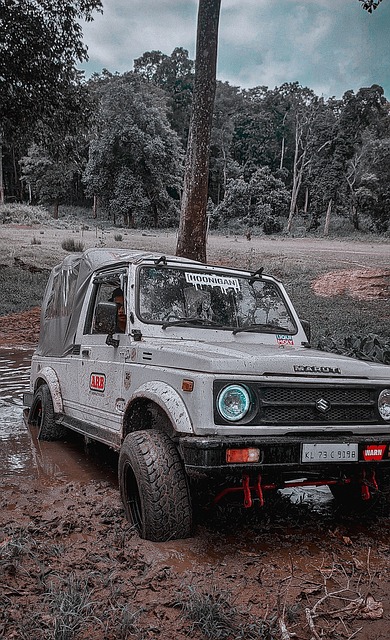 住家保姆的 住家保姆的