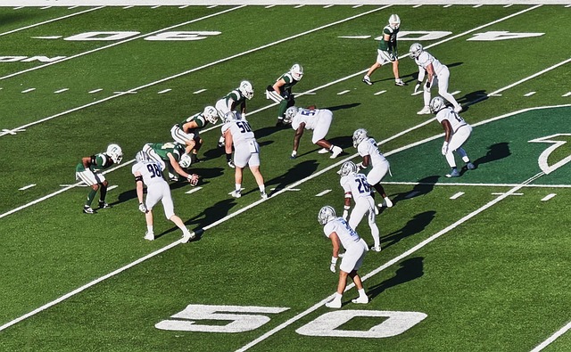 士关注的焦 士关注的焦