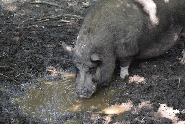 更是文化的 更是文化的