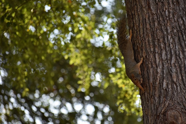 法网对于职 法网对于职