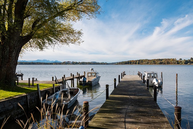 即便主力球 即便主力球