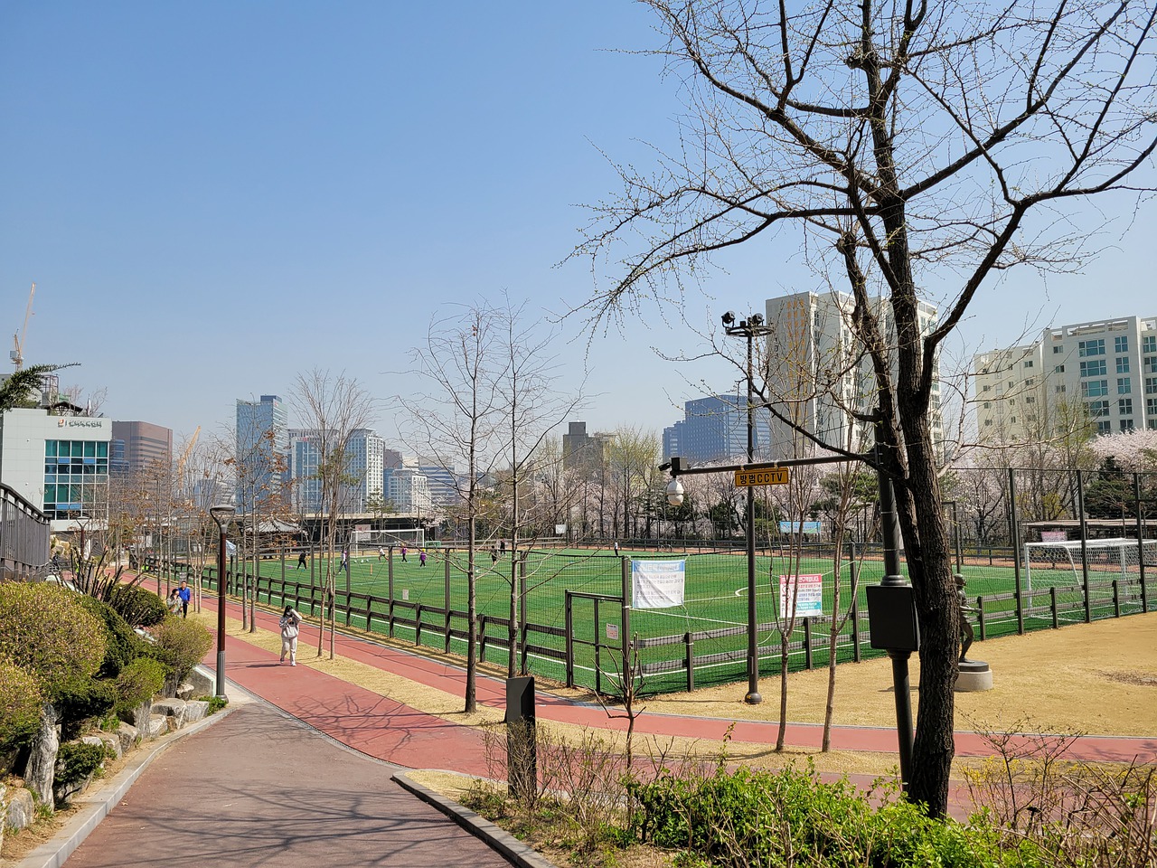 這次奇跡的 這次奇跡的