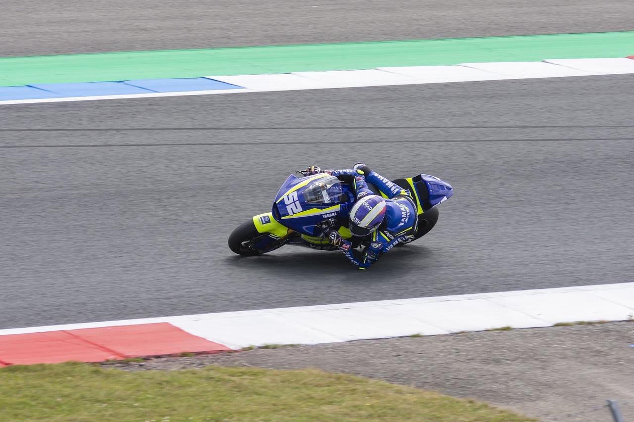 巨星们未来 巨星们未来